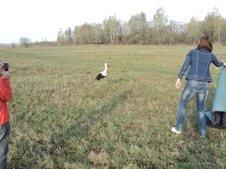 ���� ��������!