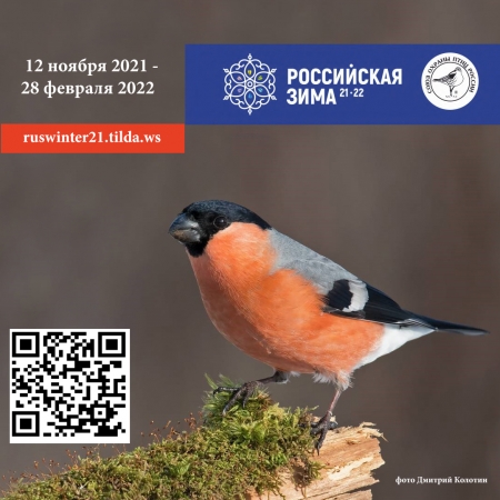 ���������� ���� 2021-2022