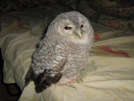 �������� ������