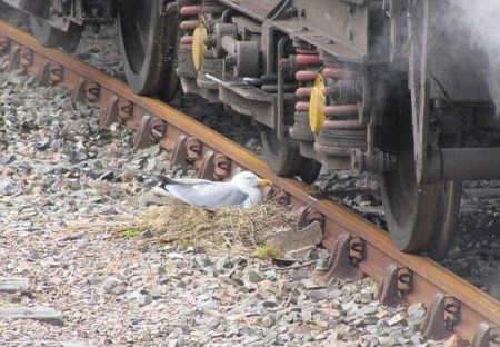 ����� ����� ������ ����� �� �������