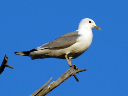 ����� � 2012: ���� �� ����.  7 ������