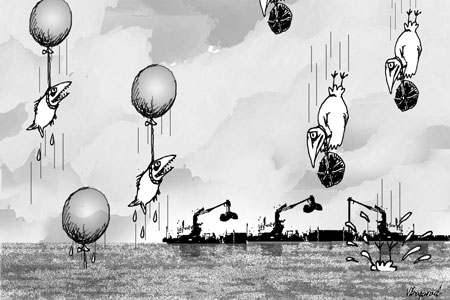 ������ ���� ����� ��������  