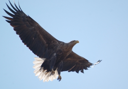  ���������� ��������� � ����������� ��������� ��������� ����������