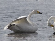 ������-������