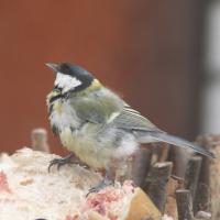 10 ������ 2011 ����.