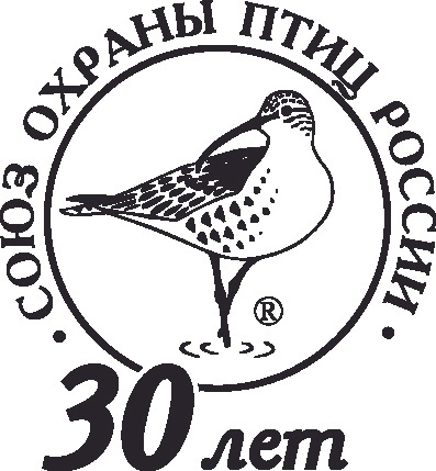 ����� ������ ���� ������ - 30 ���!