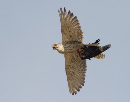 ���������� �� ��������� ������ ���� �� �������� ������ � ��������