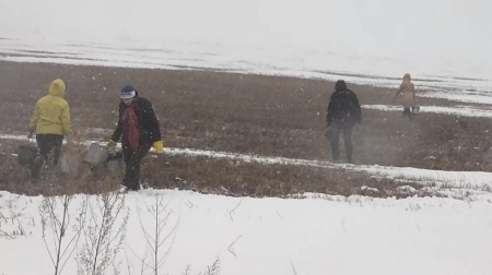 ������ ������. ���� ���������.