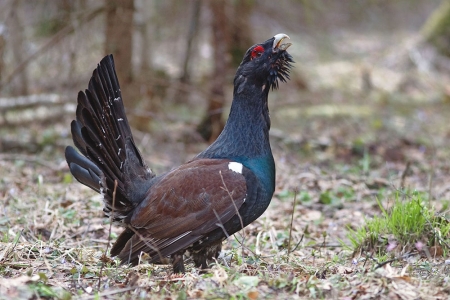 ����� � 2012: ���� �� ����. 23 ������