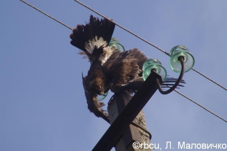 �����-����� "����� � ���" ��������