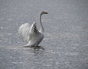 ������-������