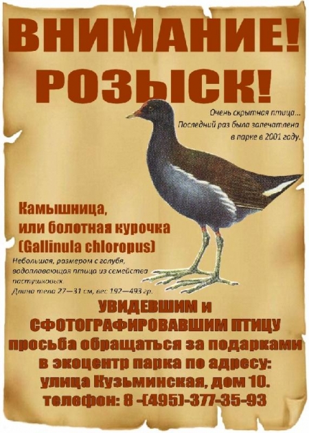 ������� ������������� ������