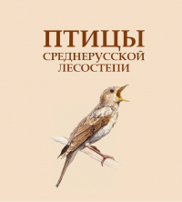 ��������� �� ������ ��������������� ���������������� ������-������������ ����������� ������ ������������� ���������