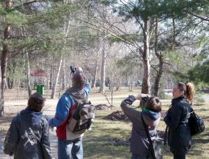 ����� �������� ������ ��� ����������