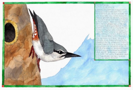 �������� "����� �����������" � ������������ �����