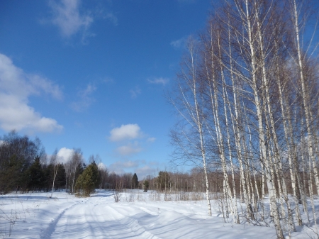 ���������� �� ������ ������������ ������