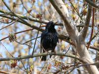 ������������� ���