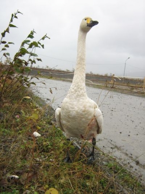 �� �������� ������ �������� ������