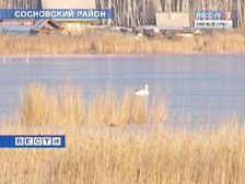 ������ ������