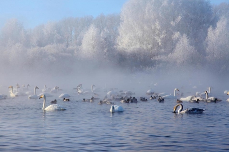 ���� ����� �������-�������� ���������� �������� �� �������