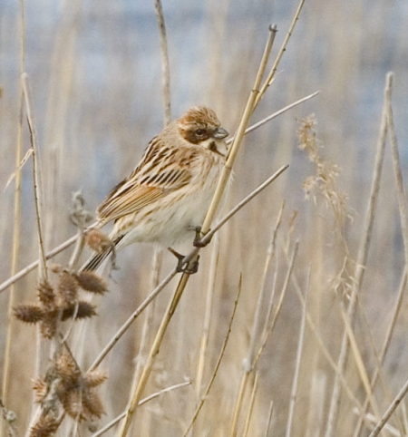 ����� � 2011: ���� �� ����. 3 ������