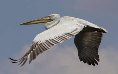 � ������ ������� �������� ����� ���� ��������� �� ������� �����