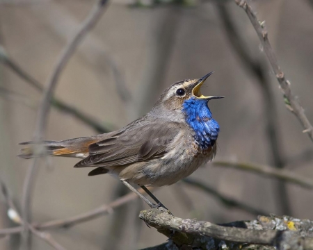 �����-2012, ���� �� ����. 15 ������