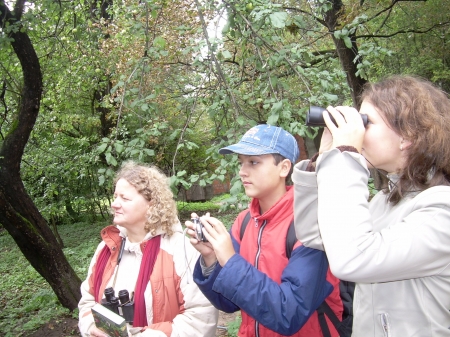 ����� ������� ���������������� ������������ "������������ ����� 2010"