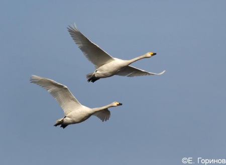 ����� � 2012: ���� �� ����. 24  �����