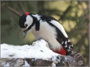 ��� ��������� ��� �� ����...