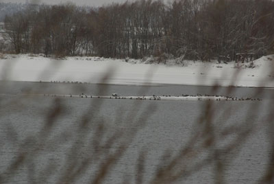 ������� ����� ���������� ����� ������������� �� ���� ������ 