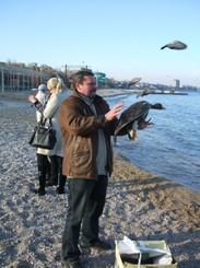 � �������� ������ ����, ������������ 10 ����� ����������