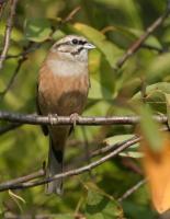 ����������:  4595
����: Thu Apr 6, 2006
