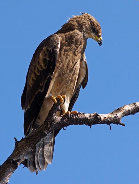 ������������ ���� ��������� ������ ������ ���� ������.