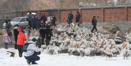 ����� ������ ������� ��������� ��� ���������