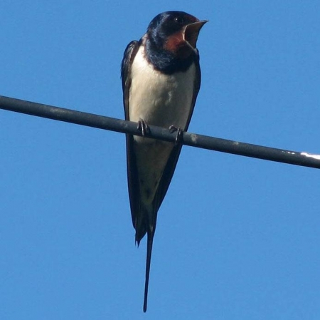 ����� � 2011: ���� �� ����. 21 ������