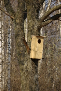 �������� �������: 11 ������ 2010 �.