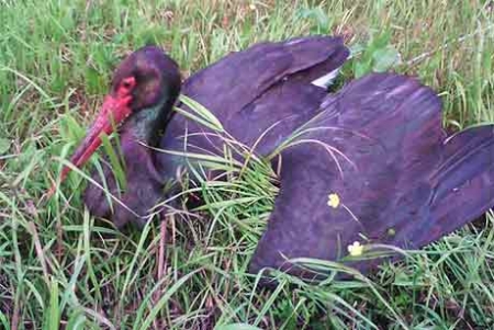 �� �������� ������  ������� �����