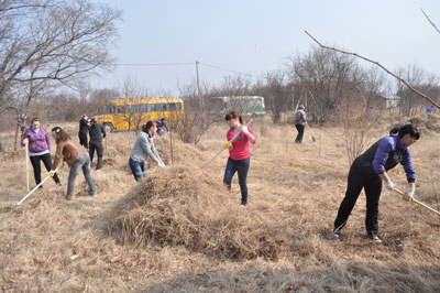 �������������� ���� ������-�����  � ������������ �����