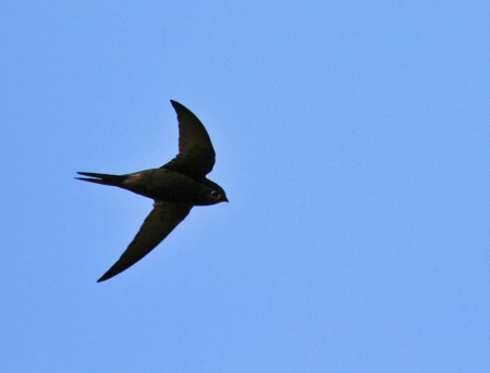 �����-2012, ���� �� ����. 13 ������