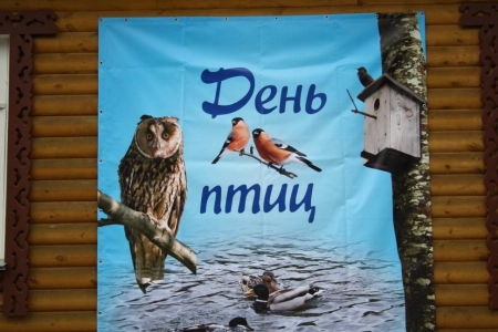 ���� ���� � ����������