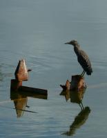 ���������� ���