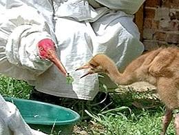 ������� ������� ��������� �� ������� ����