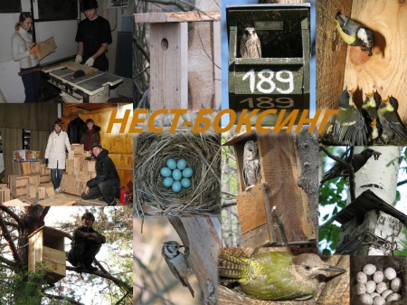 ��� ����� ����-�������?