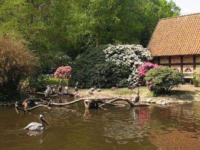 ���� ����  ��������� ��������� 50-������ ������