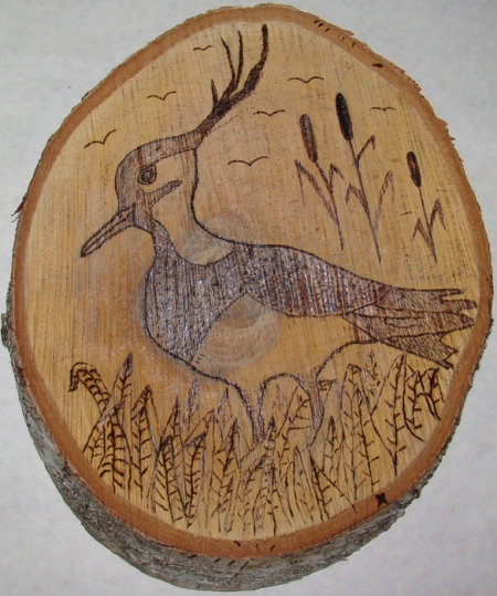 ����� �������� "����� - ����� ����"