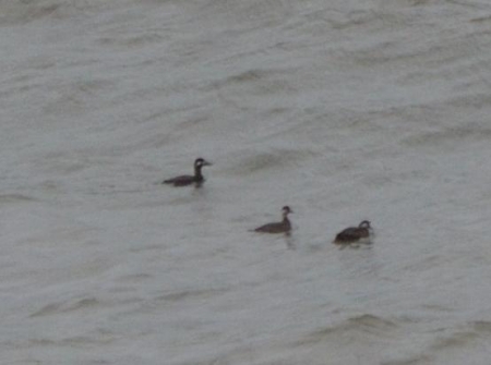 ������ ������� ������ � ����������� ������� 