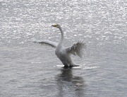 ������-������