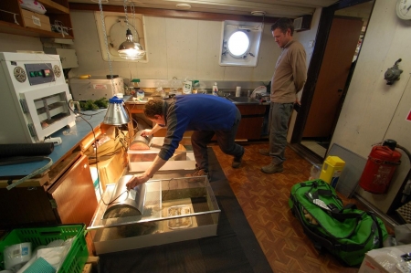 ��������� ������-������� �������� ���-�������� ������