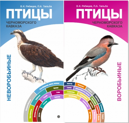 ��������� ������������ "����� ������������� �������"